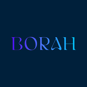Borah Labs Logo